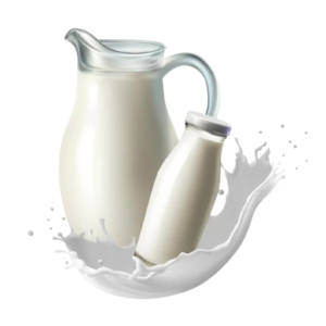 Dairy & Milk